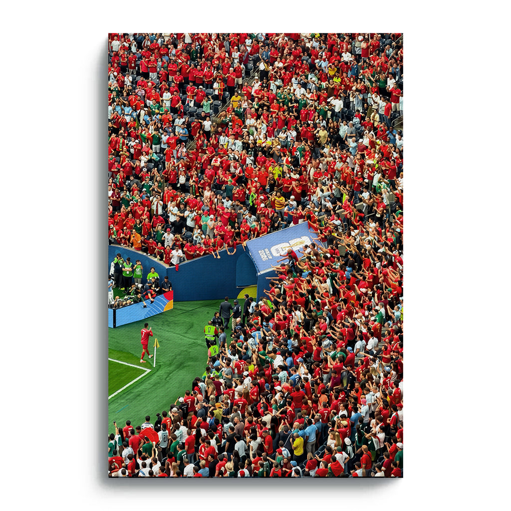 Força Portugal